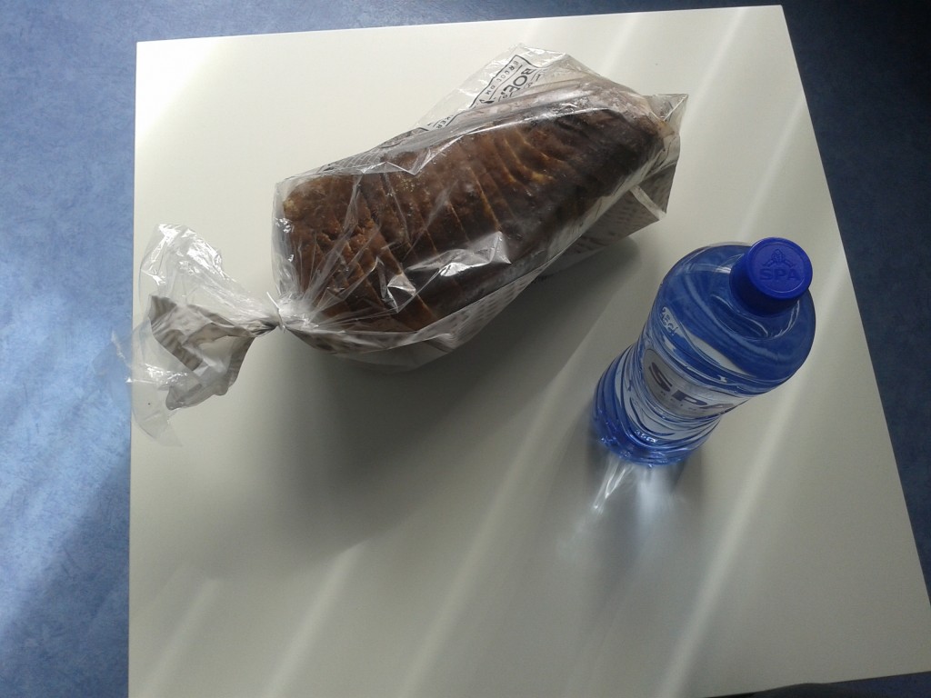 ikgaopwaterenbroodlevenwensmesucces